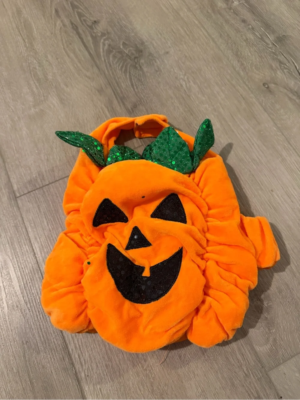 Thrills & Chills Pumpkin Dog Costume Small - Like New